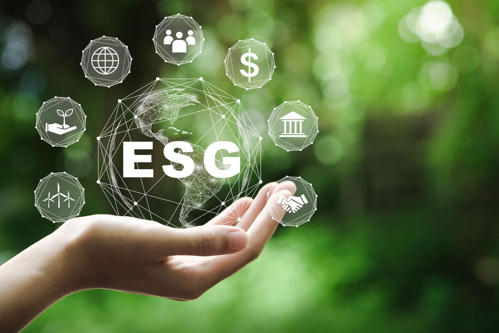 Balancing ESG with the bottom line - Commercial Baking